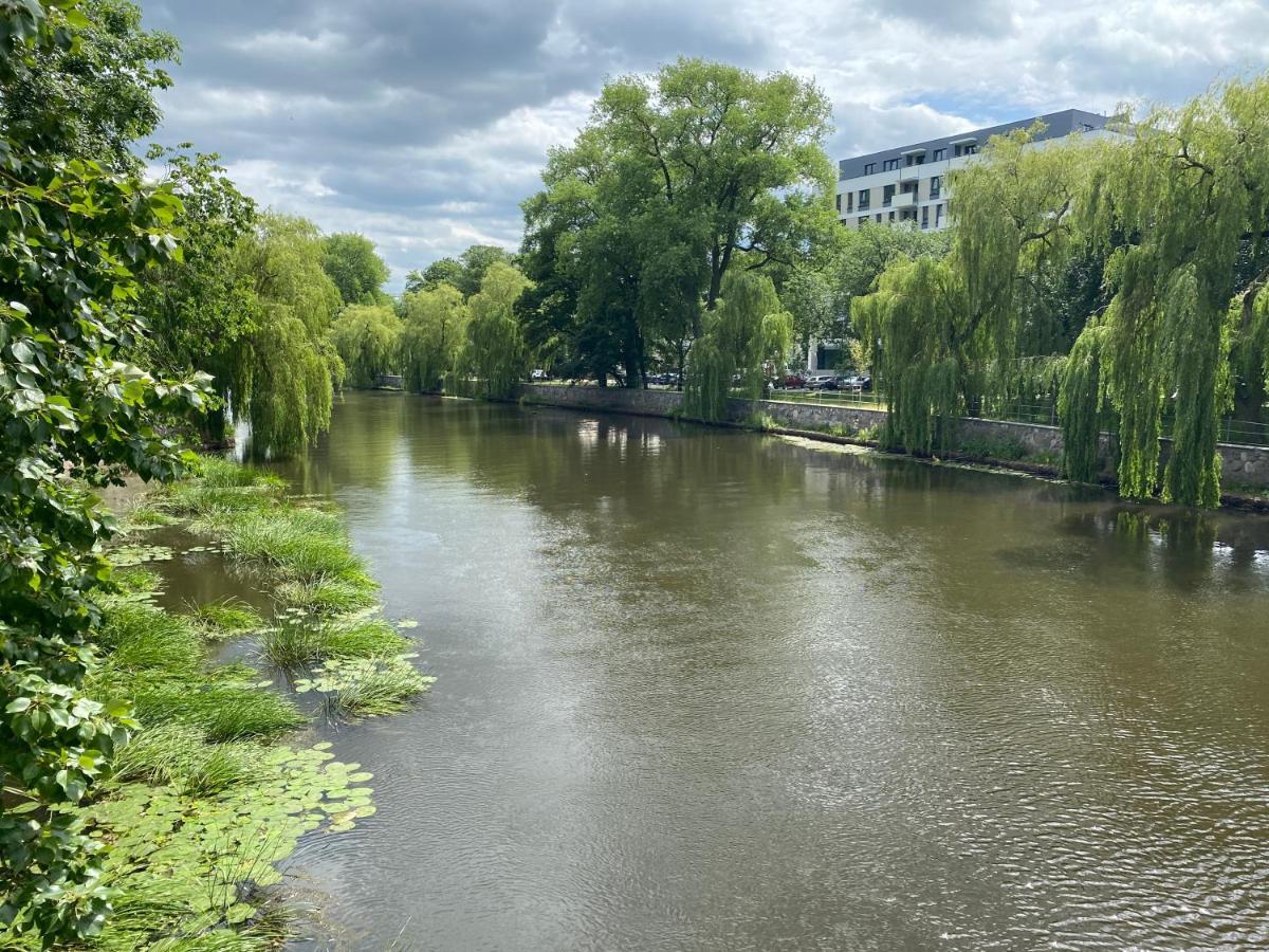 Chilliapartamenty - Platany - Powder Kołobrzeg Exteriör bild